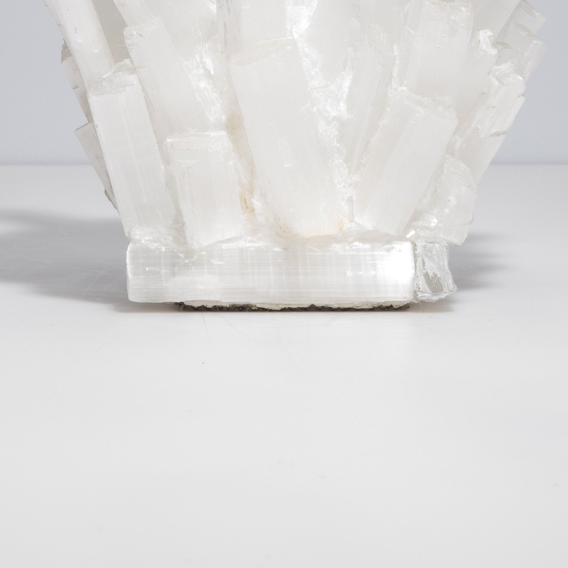 product_nam by Kathryn McCoy at MOGUL