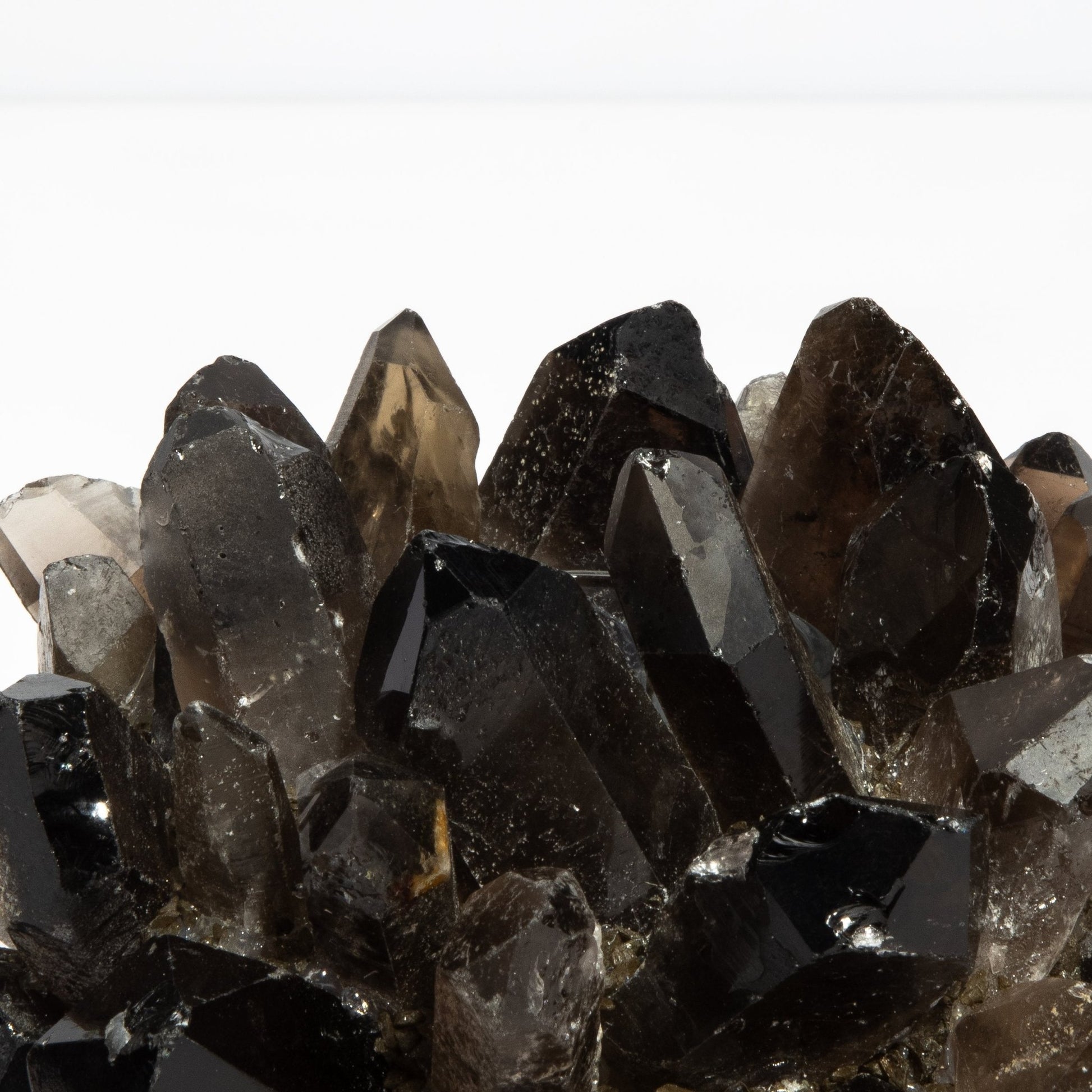 {{ product_title }} by {{ vendor }} – luxury {{ product_type }} at MOGUL